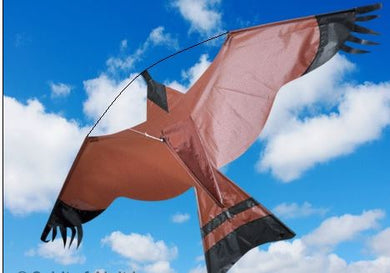 Economy Hawk Kite with flying line